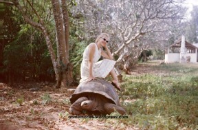 Shannon Moeser on Tortoise on Prison Island. Photograph taken July 6, 1964.